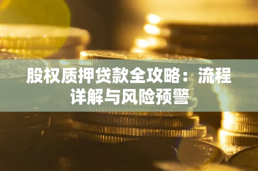 济南股权质押贷款全攻略：流程详解与风险预警