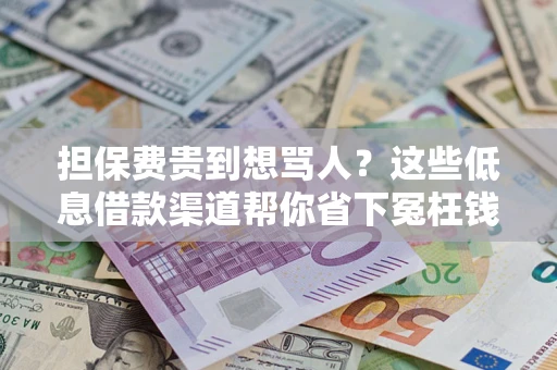 济南担保费贵到想骂人？这些低息借款渠道帮你省下冤枉钱