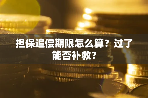 济南担保追偿期限怎么算？过了能否补救？